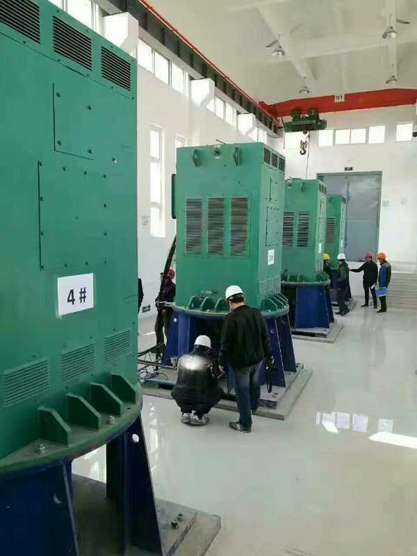 国营加钗农场某污水处理厂使用我厂的立式高压电机安装现场